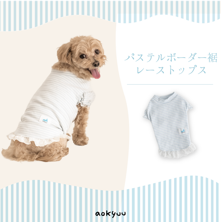 パステルボーダー裾レーストップス